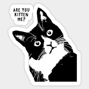 are you kitten me? Sticker